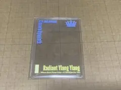 皇綺羅