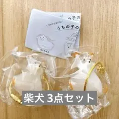 うちの子のけだまだま　犬　柴犬 3点セット ガチャガチャ キーホルダー
