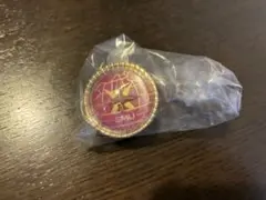 プロセカ セカライ 5th Frontier リングライト リンライ C 鳳えむ