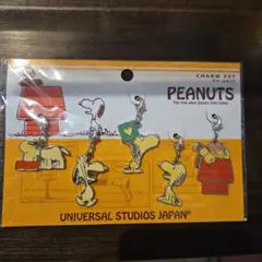 USJ限定 PEANUTS スヌーピー チャームセットのサムネイル