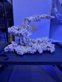 2026年最新】リーファー 水槽の人気アイテム - メルカリ