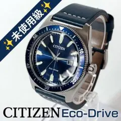 ✨未使用級✨CITIZEN シチズン エコドライブ 限定 AW1591-01L