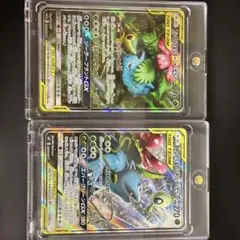 2026年最新】フシギバナ&ツタージャ sa psaの人気アイテム - メルカリ