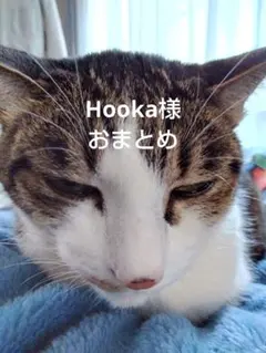 Hooka様 リクエスト 4点 まとめ商品