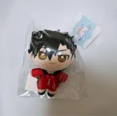 ハイキュー!! ぬいパル（ぬいぐるみ） 黒尾鉄朗