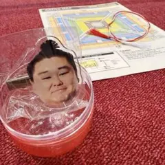 大相撲ガチャ⭐︎新品未使用⭐︎正代