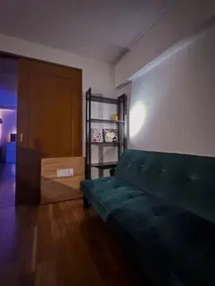 ソファベッド 高級感あるベロア素材 ダークグリーン 2-3人用 引取り限定 東京