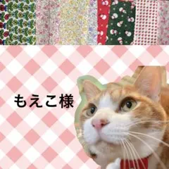 もえこ様 リクエスト 2点 まとめ商品