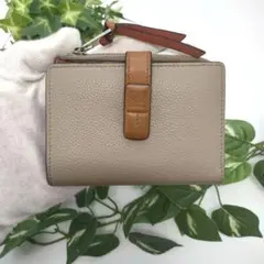 2025年最新】スリムジップウォレット ロエベの人気アイテム - メルカリ