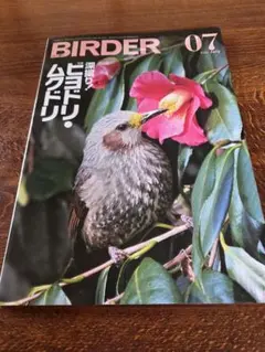 2026年最新】birder 2024の人気アイテム - メルカリ
