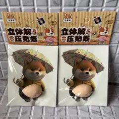 ぷにぷに 柴犬シール 傘 傘さし柴犬 おなかぷにぷに スクイーズ加工 3D ④