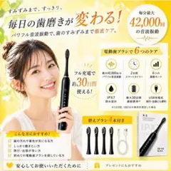 ☆SALE☆電動歯ブラシ 替えブラシ付 4本　音波　振動　防水　充電　6モードのサムネイル