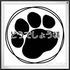 どうでしょう様