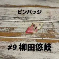 柳田悠岐 ピンバッジ 非売品