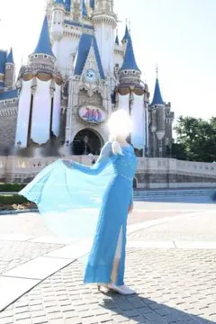 2026年最新】dハロ ウィッグの人気アイテム - メルカリ