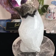 ボルノアゲート♡ペンギン♡BIGサイズ♡♡No2273