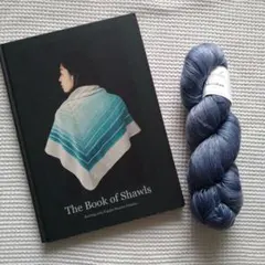 The Book of Shawls 本と Meridian 毛糸