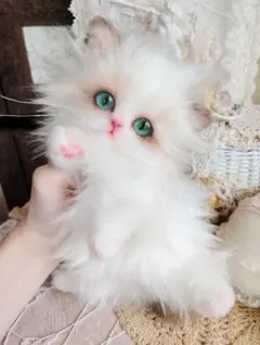 超絶美人ちゃん♡ラグドール子猫♡アートドール♡ぬいぐるみ♡