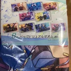 あんスタ プロセカ セガラッキーくじ ビッグビュアルタオル 逆先夏目 神代類