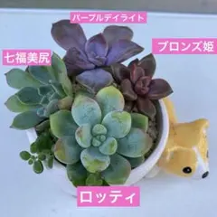 リーヤ@断捨離中様 リクエスト 3点 まとめ商品