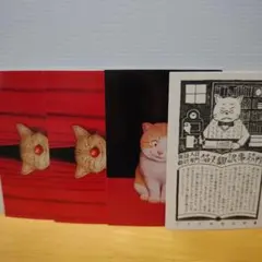 猫のイラスト ポストカード 4枚セット