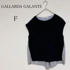 ガリャルダガランテ 異素材カットソー ストライプ切替 ふんわりシルエット 【F】のサムネイル