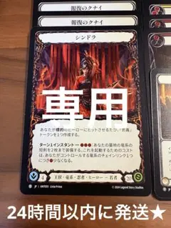 【ユースケ様専用】 シンドラ デッキ 計 48枚 シルバーエイジ 向け FaB