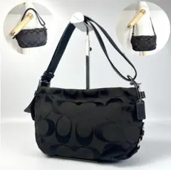 2026年最新】coach ワンショルダーバッグ シグネチャーの人気アイテム