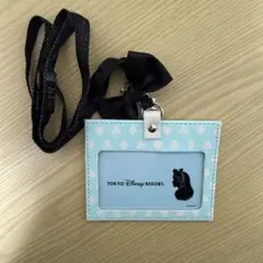 ディズニー 不思議の国のアリス パスケース