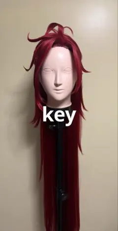 ツイステ　リエーレ風　コスプレウィッグのサムネイル