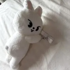 straykids スキズ ペンミ バックパック リュック リービット - メルカリ