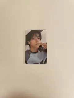 Stray Kids dominate リアルタッチフォトカード ハン
