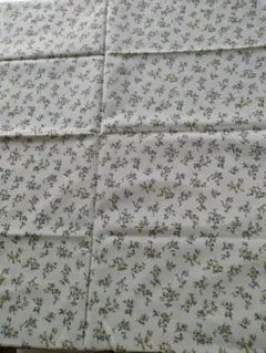 Item thumbnail for item be886cb8-0220-41e5-97f0-a98cfee45666