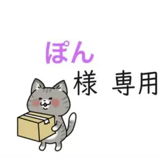 【ぽん様専用】おまとめページ