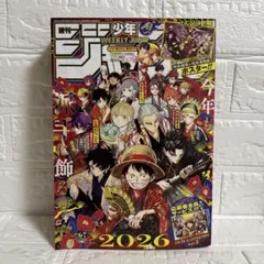 フランチェスカ様 リクエスト 2点 まとめ商品