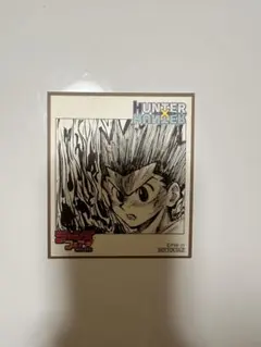 HUNTER×HUNTER ハンターハンター ゴン ミニ色紙