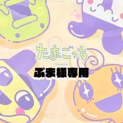 ぷま様専用出品