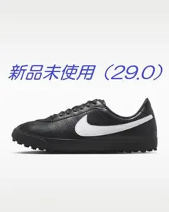 【新品未使用】元箱・タグ付 Nike アストログラバーSE（29.0）（BK）のサムネイル