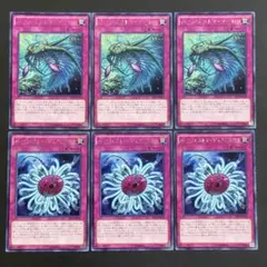 遊戯王　バージェストママーレラ　ディノミスクス　字レア各3枚