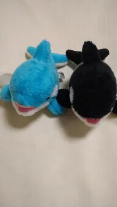 鴨川シーワールド　シャチぬいぐるみセット　な471