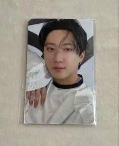 straykids スキズ FANS特典リアルタッチフォトカード チャンビン