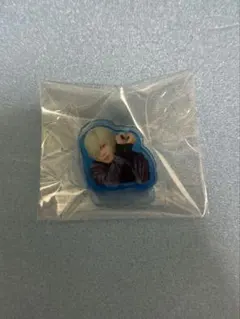 エーステ　アクリルクリップ　密