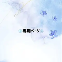 専用ページ