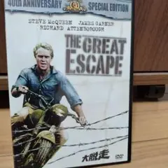 大脱走　DVD