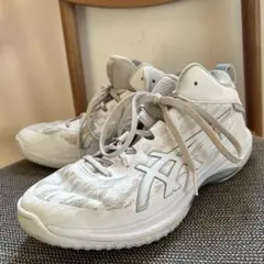 ASICS バスケットボールシューズ ゲルフープ　アシックス