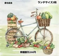 No.2409＊ペーパーナプキン＊デコパージュ3枚