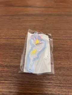 琵琶湖アクリルキーホルダー 草津道の駅　イナズマ　ビワコ　びわ湖　旧作