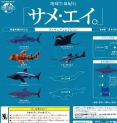 Item thumbnail for item 7c1f2243-21df-403c-b632-43b3e39762c9