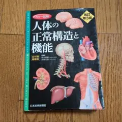 2026年最新】カラー図解 人体の正常構造と機能 【全10巻縮刷版】 改訂