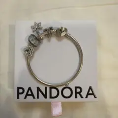 PANDORA ブレスレット チャーム9個 箱・ショッピングバッグ付き - メルカリ